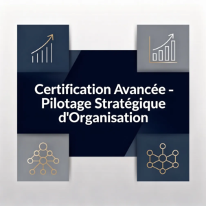 Certification Avancée - Pilotage Stratégique d'Organisation