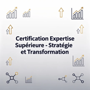 Certification Expertise Supérieure - Stratégie et Transformation